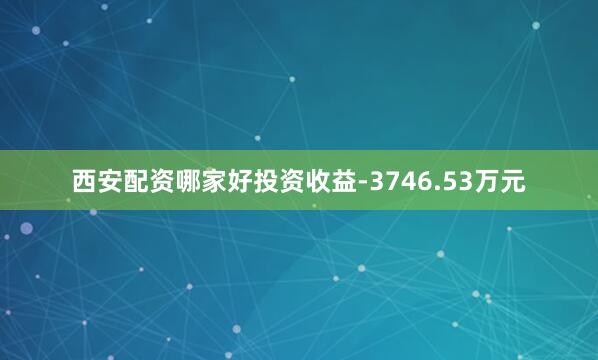 西安配资哪家好投资收益-3746.53万元