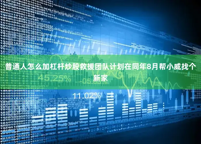 普通人怎么加杠杆炒股救援团队计划在同年8月帮小威找个新家